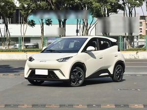 Microcoche Eléctrico BYD Seagull 2025 Usado, Autonomía de 305-405 Km, Hatchback Compacto de Cinco Puertas y Cuatro Asientos, Auto Eléctrico Chino - Product Image 2