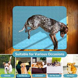 Hunde kühl matte Haustier kühl matte hält Hunde und Katzen im Sommer kühlgel Hunde bett kühl - Product Image 6