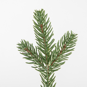 Co-Arts Sapin de Noël de luxe en cône de pin PE avec pot de fleurs de Noël - Product Image 2