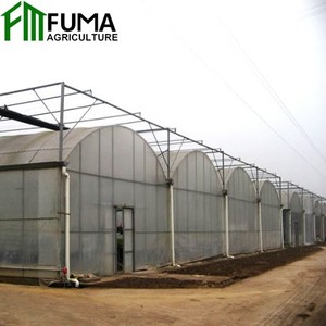 Serra Agricola Commerciale Intelligente a Basso Costo con Copertura in PE Multi-Span per la Crescita delle Piante - Product Image 4