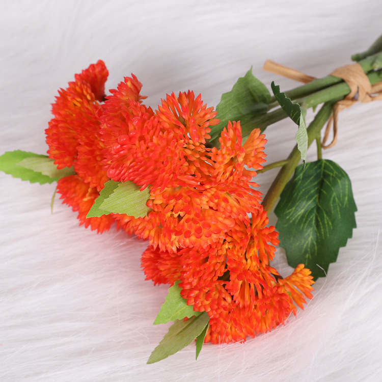 Hydrangea fruit, orange