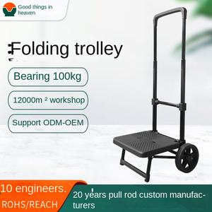 Opvouwbare draagbare platformwagen Verdikte ijzeren buis 250W motor 10-20Ah batterij 30-50 km/u Snelheid 100kg Draagvermogen Buitengebruik - Product Image 2