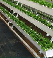 Équipement agricole hydroponique NFT Strawberry Growing Gully Channel Gouttière