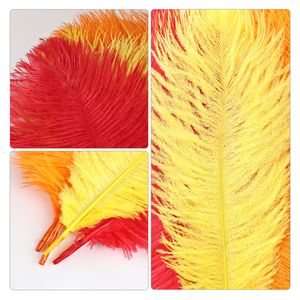 Großhandel Gemusterte Gefärbte Straußenfedern 20-25cm 10+ Farben Bestes Preis-Leistungs-Verhältnis Hochzeit Karneval Party Dekorationen Festliche Bastelarbeiten - Product Image 6