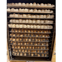 Déshydrateur alimentaire commercial en acier inoxydable, économiseur d'énergie, sécheur solaire pour herbes, viande, bœuf, fruits, déshydrateur de fruits