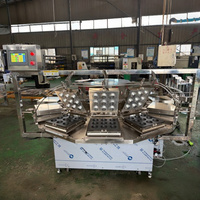 Machine automatique de fabrication de biscuits en forme de noix, équipement de formage de coques de tarte, machine à mouler les coques de tarte à vendre