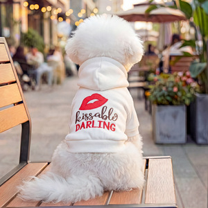 Sweat-shirt JXANRY simple en polyester pour animaux de compagnie, motif lettres, chaud <span class=keywords><strong>et</strong></span> confortable, pour chiens <span class=keywords><strong>et</strong></span> chats miniatures, collection printemps-automne, spécial Saint-Valentin - Product Image 2
