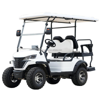 Voiture Buggy 4x4 Lithium Tout-Terrain Luxe 1-2 Places Véhicule Touristique Moto Électrique Chariot de Golf Voiture de Vacances