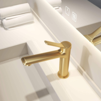 Robinet de lavabo Koen OEM au design moderne, en laiton brossé, à poignée unique, monotrou, à poser sur le plan, avec cartouche céramique, garantie 5 ans