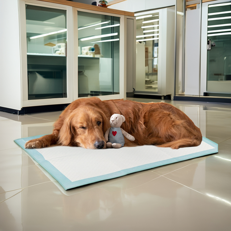OEM ODM Factory Puppy Pads Extra