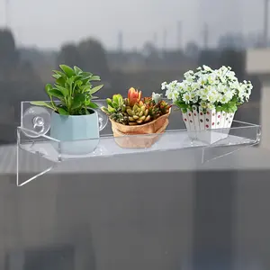 도매 식물 선반 창 흡입 컵 프레임 꽃 식물 아크릴 욕실 선반