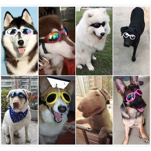 Lunettes de soleil anti-UV 2026Fashion pour chiens et chats – Protection oculaire anti-reflet – Cadeaux pour chiens – Accessoires extérieurs pour animaux de compagnie - Product Image 6
