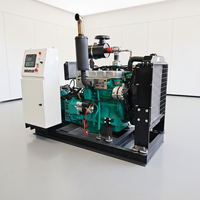 Générateur au gaz naturel de 30 kW pour la maison, alimentation de secours 37,5 kVA, alimentation continue au GPL/GNC