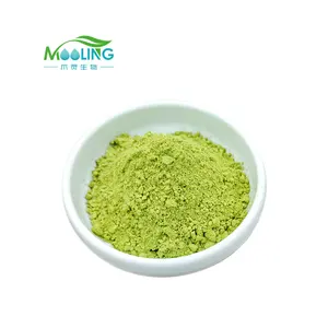 Most Popular Natural Green Tea Matcha Powder CAS 93348-12-0