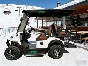 Voiturette de golf électrique compacte 4 places, idéale pour les trajets en campagne, les loisirs et les déplacements sur routes non publiques - Product Image 1