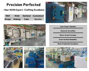 Services de fabrication de pièces en MIM sur mesure, en acier inoxydable et en laiton, par moulage par injection de métal - Product Image 4
