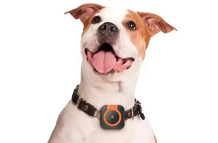 Mini Portable Pet 4G Tracker C08 GPS for Dogs Cats