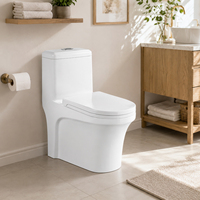 WC monobloc à siphon silencieux pour projets de salle de bain d'appartement, WC en céramique blanche avec finition brillante, système de chasse d'eau silencieux et puissant