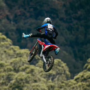 รถมอเตอร์ไซค์วิบาก Enduro รุ่นใหม่ ปี 2024 ขายดี 300 ซีซี 2 จังหวะ มอเตอร์กลาง 74V เกียร์เดียว - Product Image 2