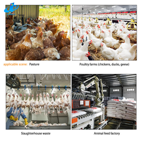 Chaîne de production Offre Spéciale automatique de repas de poulet repas faisant la machine pour des déchets d'abattage de poulet