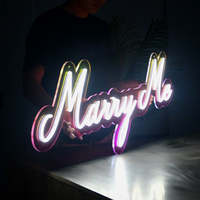 Enseigne néon personnalisée pour l'usine, décoration de fête de bar à LED, logo de magasin d'enseigne néon acrylique