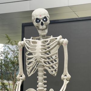 Décorations d'Halloween folles <span class=keywords><strong>de</strong></span> 10 pieds, certaines tailles mobiles, squelette d'Halloween en plastique grandeur nature, taille grande, à vendre - Product Image 1