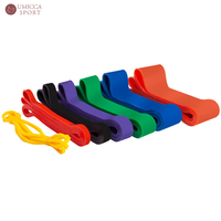 Equipo de entrenamiento Bandas de resistencia para gimnasio Ejercicio Fitness Juego de goma Pull Up Logo Bandas de cadera personalizadas Látex elástico