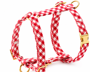 Ensemble d'accessoires pour harnais de chien personnalisé, design rembourré écologique, motif personnalisé, faible MOQ - Product Image 6