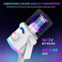 Micrófono de Grabación Dinámico XLR/USB FIFINE AM8 PROT RGB con Brazo Articulado Ajustable para Juegos y Streaming, Micrófono Gamer
