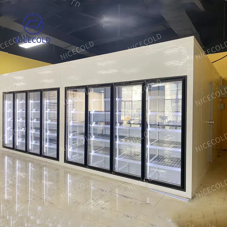 Custom Display Glass Door Walk in Freezer and Cooler Cold Room for Gas Station