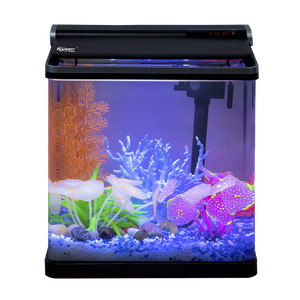 easy fish tank