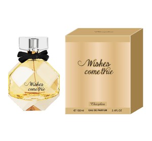 OEM/ODM, Fragancia masculina femenina, niebla corporal, perfume para el cabello - Product Image 2