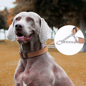 Collar de Perro de Diseño de Marca de Lujo con Clip Metálico y Hebilla con Logotipo de Marca Privada, Collar de Nailon/Poliéster Impermeable y Ajustable para Mascotas - Product Image 1