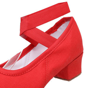Venta al por mayor <span class=keywords><strong>de</strong></span> alta calidad profesional <span class=keywords><strong>Ballet</strong></span> Danza Lona Profesor Personaje Zapatos - Product Image 4