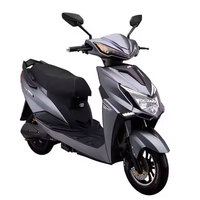 Motos Électriques à Grande Vitesse 1200W les Plus Vendues pour Adultes, Véhicules Électriques à Deux Roues