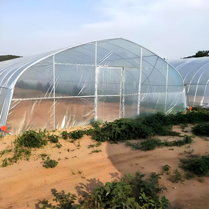 Serre <span class=keywords><strong>tunnel</strong></span> agricole simple travée de petite taille 10-100m, économique et commerciale, en film PE - Product Image 2