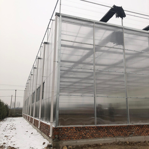 Serra Agricola Multi-Span Grande Starfarm in Stock per Idroponica di Pomodori con Copertura in Lastre di Policarbonato - Basso Costo, Alta Resa - In Offerta - Product Image 6