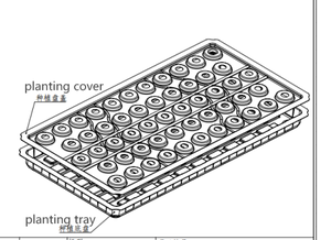 <span class=keywords><strong>Petite</strong></span> serre verticale complète avec système hydroponique avec support de culture pour l'ensemencement de laitue en intérieur - Product Image 4