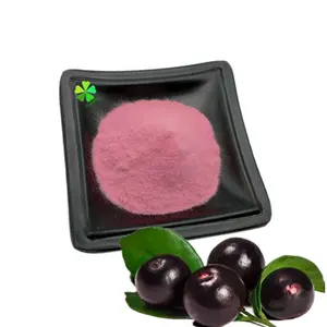 批发有机阿塞莓提取物巴莓粉抗氧化