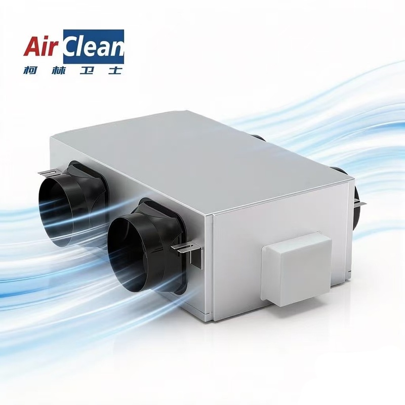 Commercial Bidirectional Flow Fresh Air System