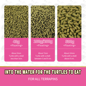 Venta al por mayor de la fábrica personalización nutritivos hogar común tortuga comer torturado comida - Product Image 3