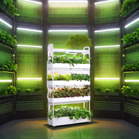 Système hydroponique écologique à succès en 2026, plantation à domicile, système d'irrigation lumineuse à 120 trous, pompe de jardin 120W, moteur, 2 ans