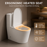 WC intelligent à poser au sol certifié CE, avec bidet intégré, sans bride, à chasse directe, siphon S/P, réservoir d'eau, pour projets, vente en gros directe usine