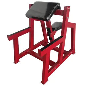 Fitness Strength Training Commercial Sit Up Rack Gym Equipment Exercise Seated Preacher Curl Bench
