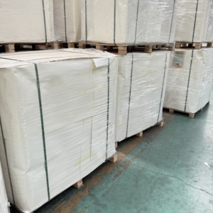 Virgin Wood Pulp PE Coated Paper Cup In <b>Sheet</b> For Coffee Tea Disposable Paper Cup Making - Product Image 4