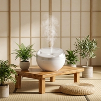 Nouveau design, logo personnalisé, humidificateur d'air ultrasonique portable à gouttelettes d'eau dansantes, brume fraîche pour la maison et le bureau