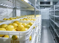 Cámara de maduración de plátanos y cámara frigorífica: Paneles para cámaras frigoríficas tipo walk-in usados en venta o cámara frigorífica comercial para plátanos verdes.