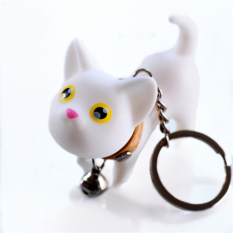 Petit chat blanc