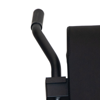 Machine d'extension de dossier de chaise romaine ZYFIT-Banc d'hyperextension du bas du dos-Équipement d'exercice réglable pour la salle de sport à domicile