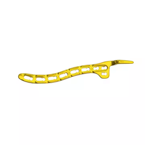 Geasure الطبية الصف 5 الترقوة قابل للتخصيص هوك جودة عالية OEM خدمة قفل لوحة - Product Image 4